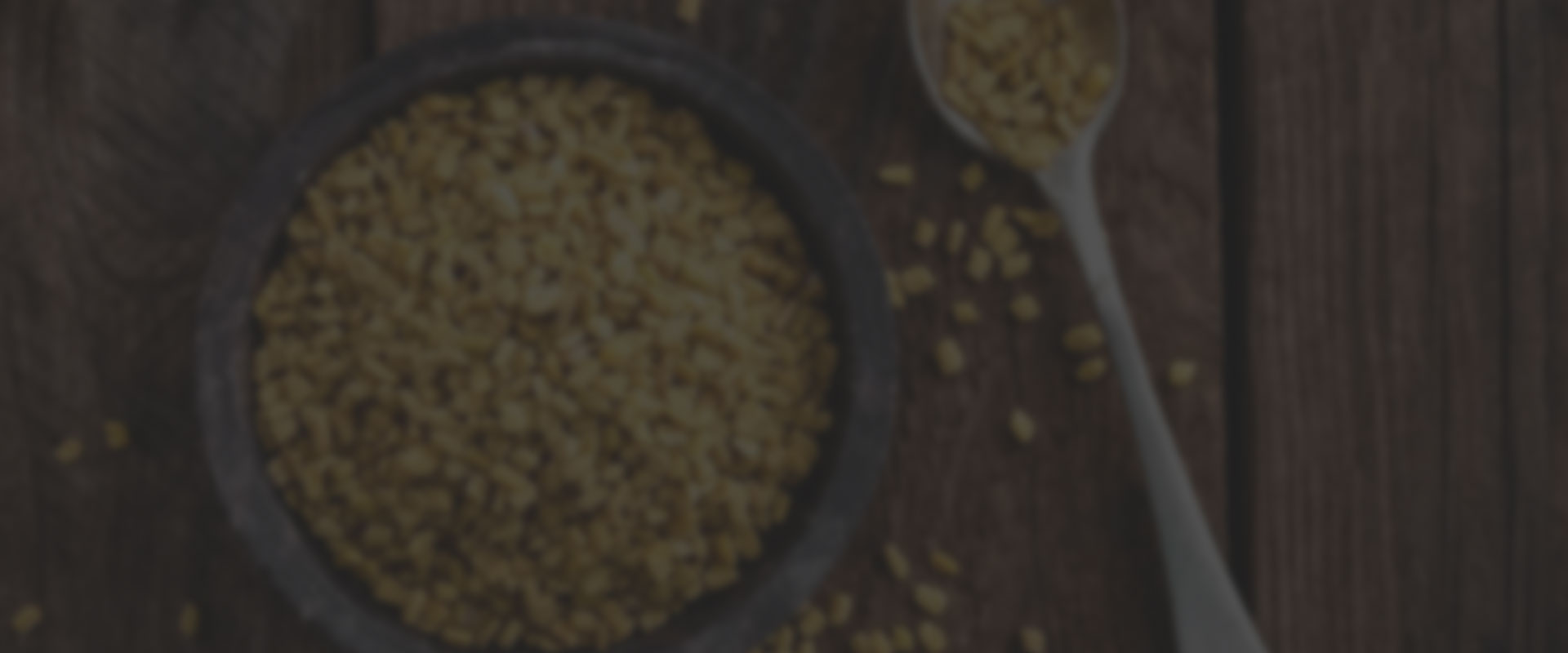 Green Tea Extract
